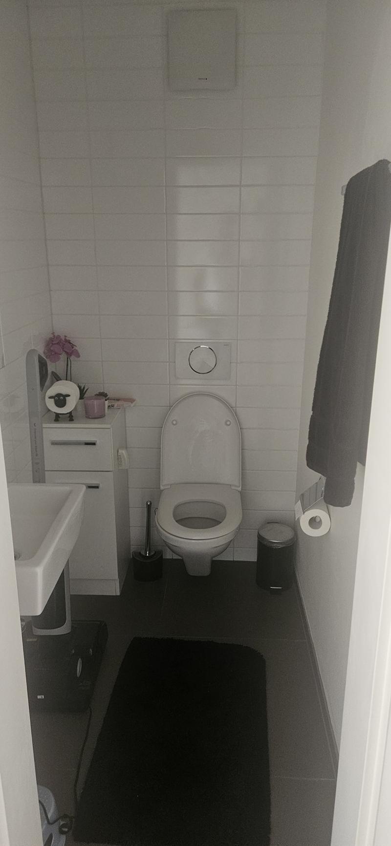 4 ½ rooms apartment, 8604 Volketswil (1)