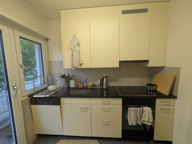 2.5 apartment Oerlikon (1 Person / couple) (2)