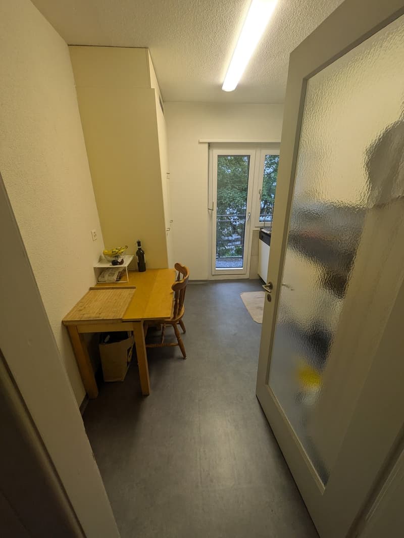 2.5 apartment Oerlikon (1 Person / couple) (3)