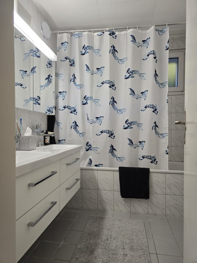 4.5 room apartment (4)