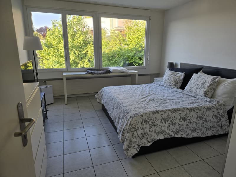 4.5 room apartment (3)