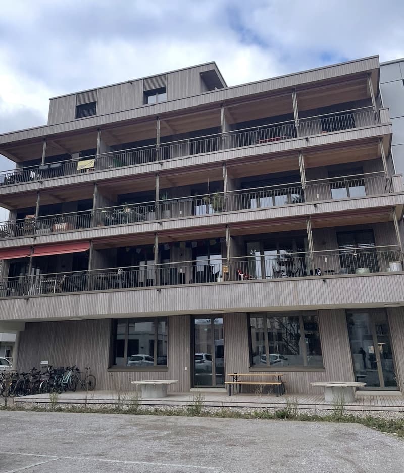 Befristete moderne helle Wohnung Nähe Inselspital (3)