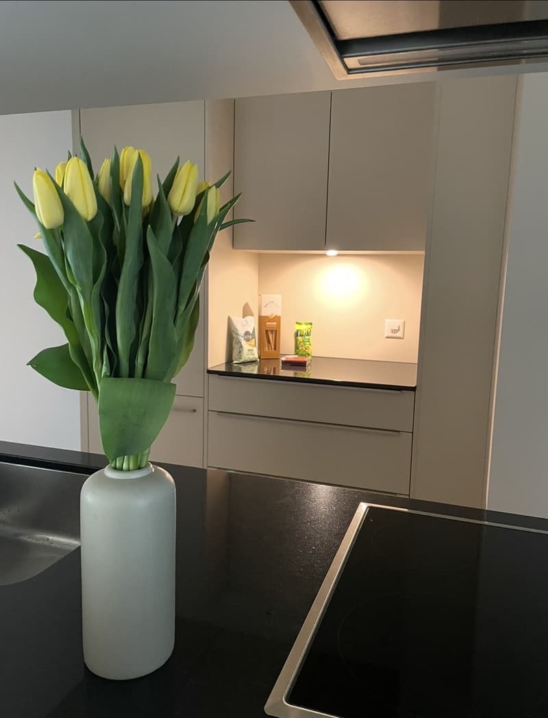Befristete moderne helle Wohnung Nähe Inselspital (6)