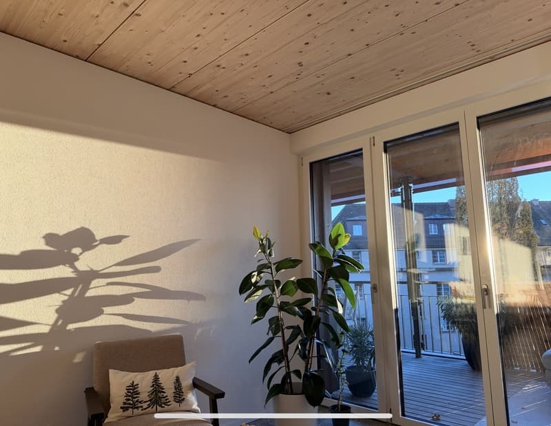 Befristete moderne helle Wohnung Nähe Inselspital (1)