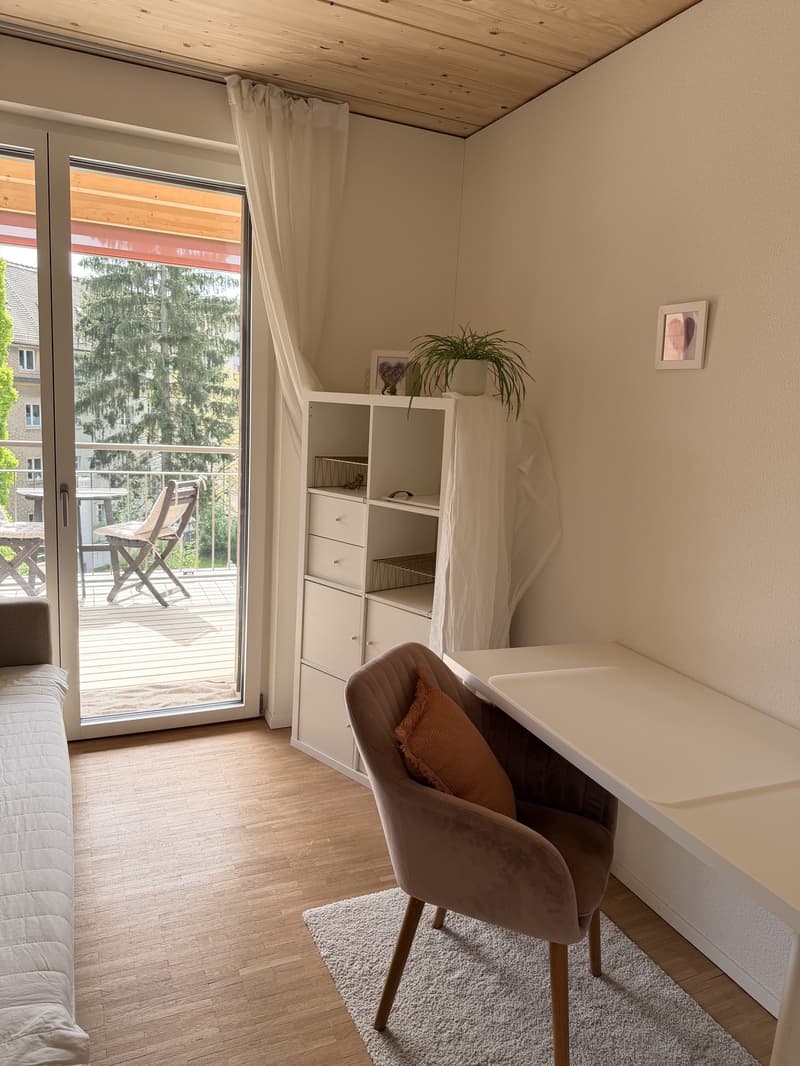 Befristete moderne helle Wohnung Nähe Inselspital (7)
