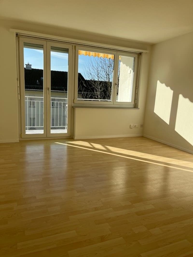 Appartamento confortevole, soleggiato e spazioso in un quartiere residenziale tranquillo. (1)