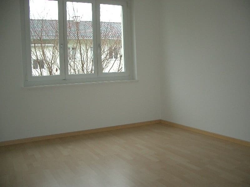 Appartamento confortevole, soleggiato e spazioso in un quartiere residenziale tranquillo. (5)