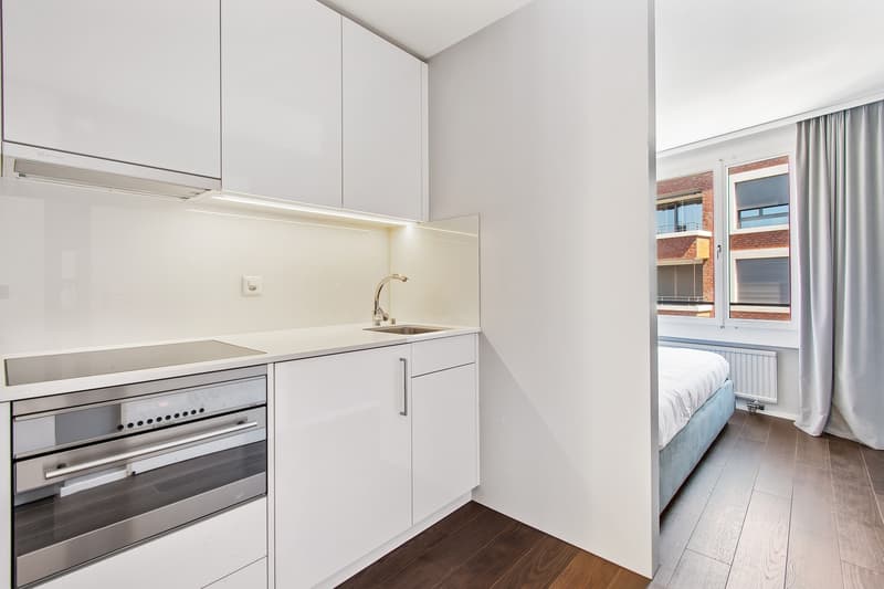 1 ½ rooms apartment, 8008 Zurich (4)