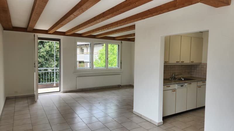 Beautiful 2.5-room apartment in a central location (1)