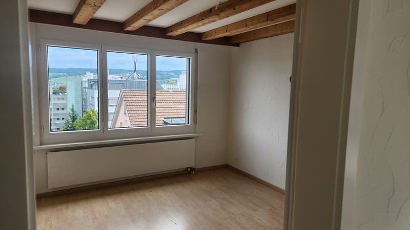Beautiful 2.5-room apartment in a central location (3)