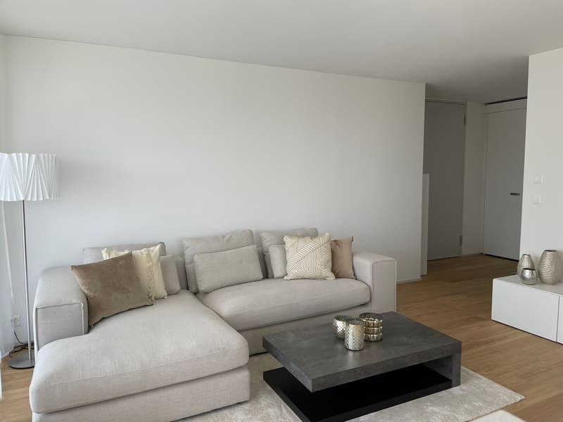 Bello appartamento 2.5 locali a Zürich-Leimbach, quieto, centrale e vicino alla natura (5)
