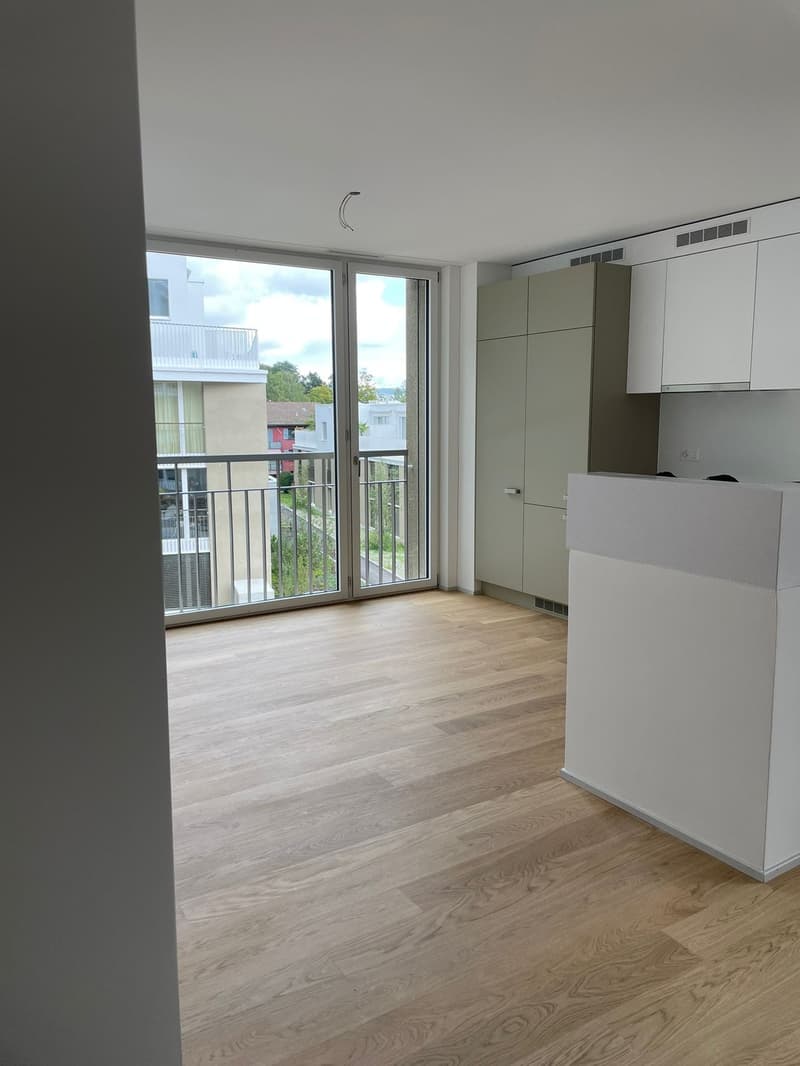 Bello appartamento 2.5 locali a Zürich-Leimbach, quieto, centrale e vicino alla natura (1)