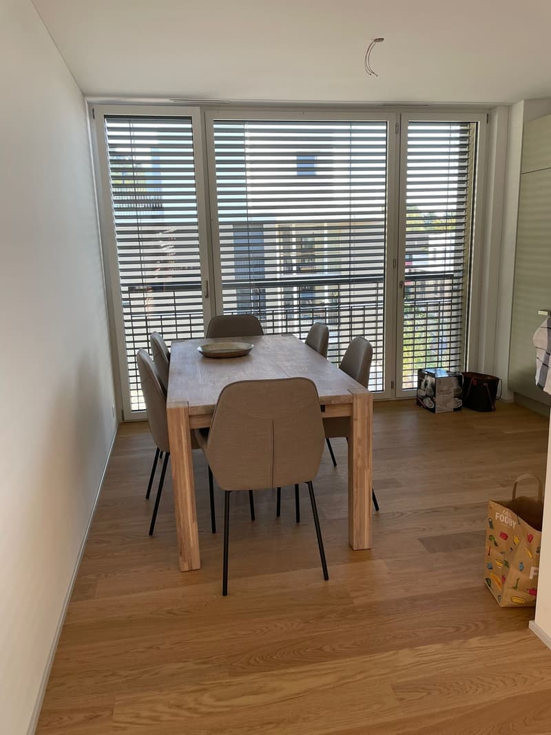 Bello appartamento 2.5 locali a Zürich-Leimbach, quieto, centrale e vicino alla natura (9)