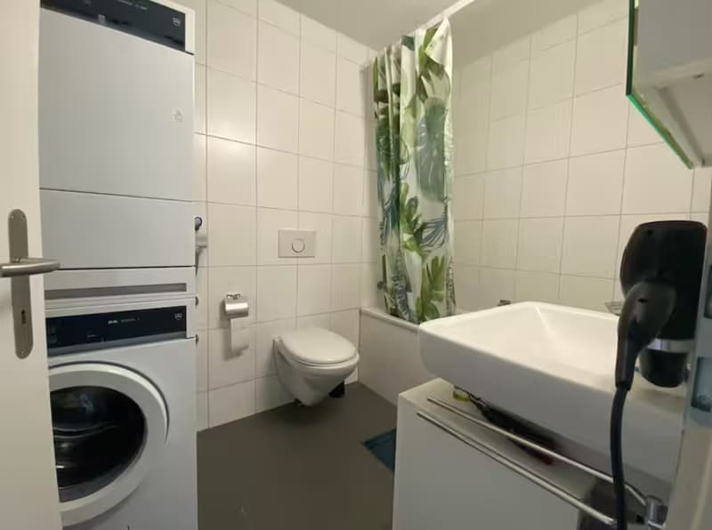 2.5 Limmatplatz - 1 anno rinnovabile arredato (2)