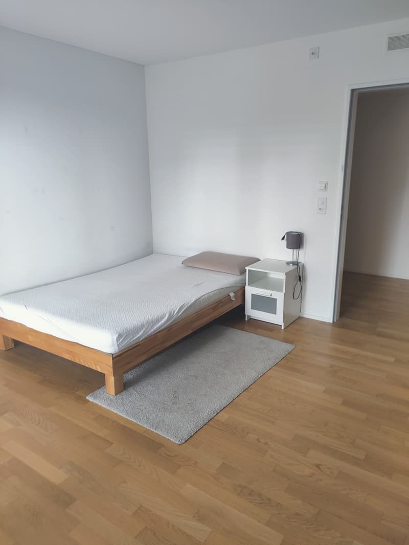 Camera arredata in appartamento spazioso di 130m², a 5 minuti dalla stazione di Oerlikon, CHF 1,600 tutto compreso (9)