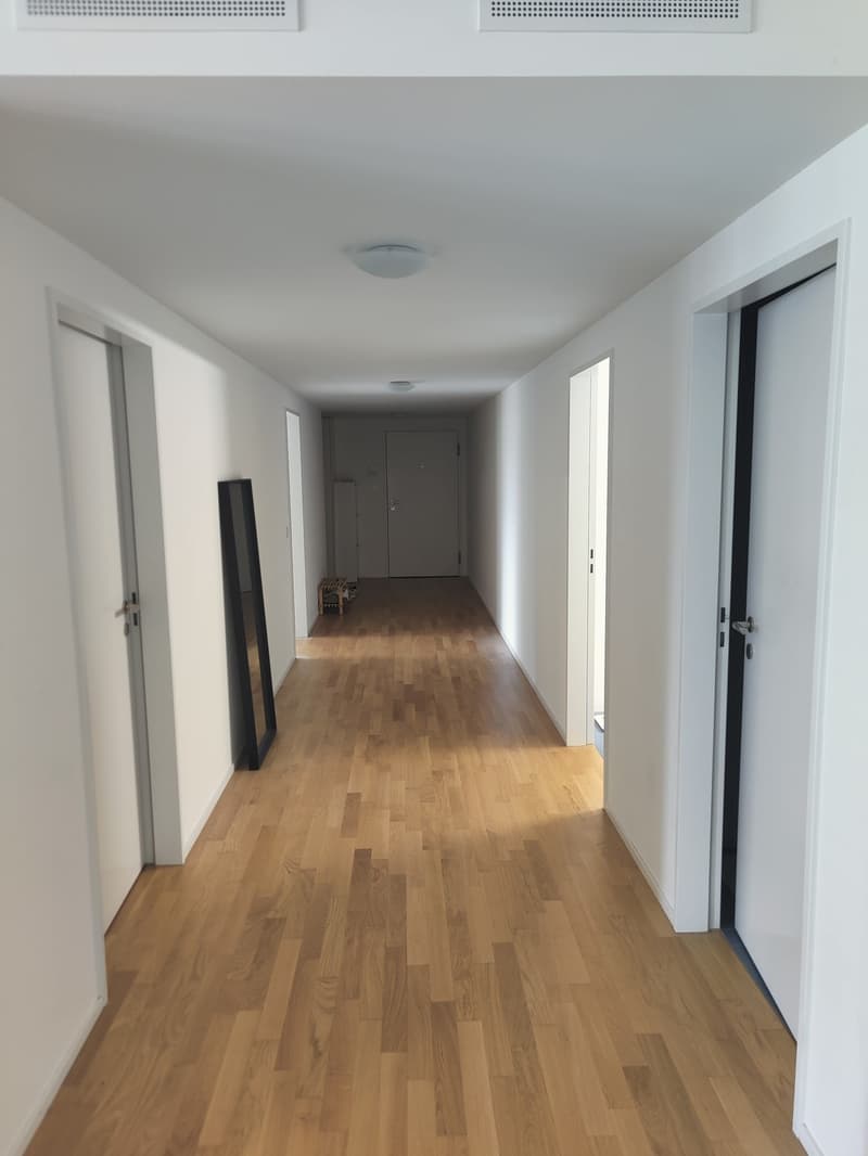 Camera arredata in appartamento spazioso di 130m², a 5 minuti dalla stazione di Oerlikon, CHF 1,600 tutto compreso (13)