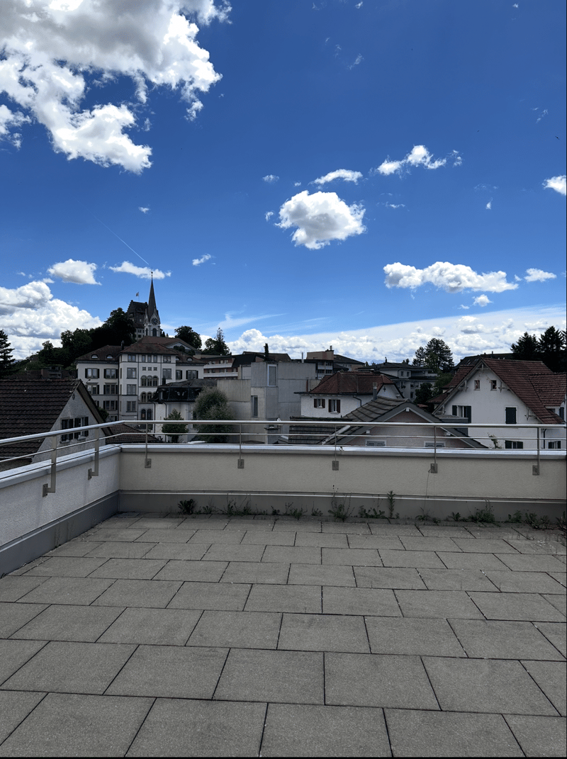Incantevole appartamento attico 3.5 locali con 2 terrazze e vista panoramica a Uster (3)