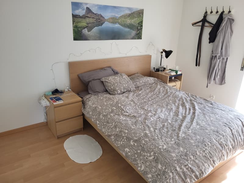 4-Room Apartment for two-year sublet in Wallisellen (5)