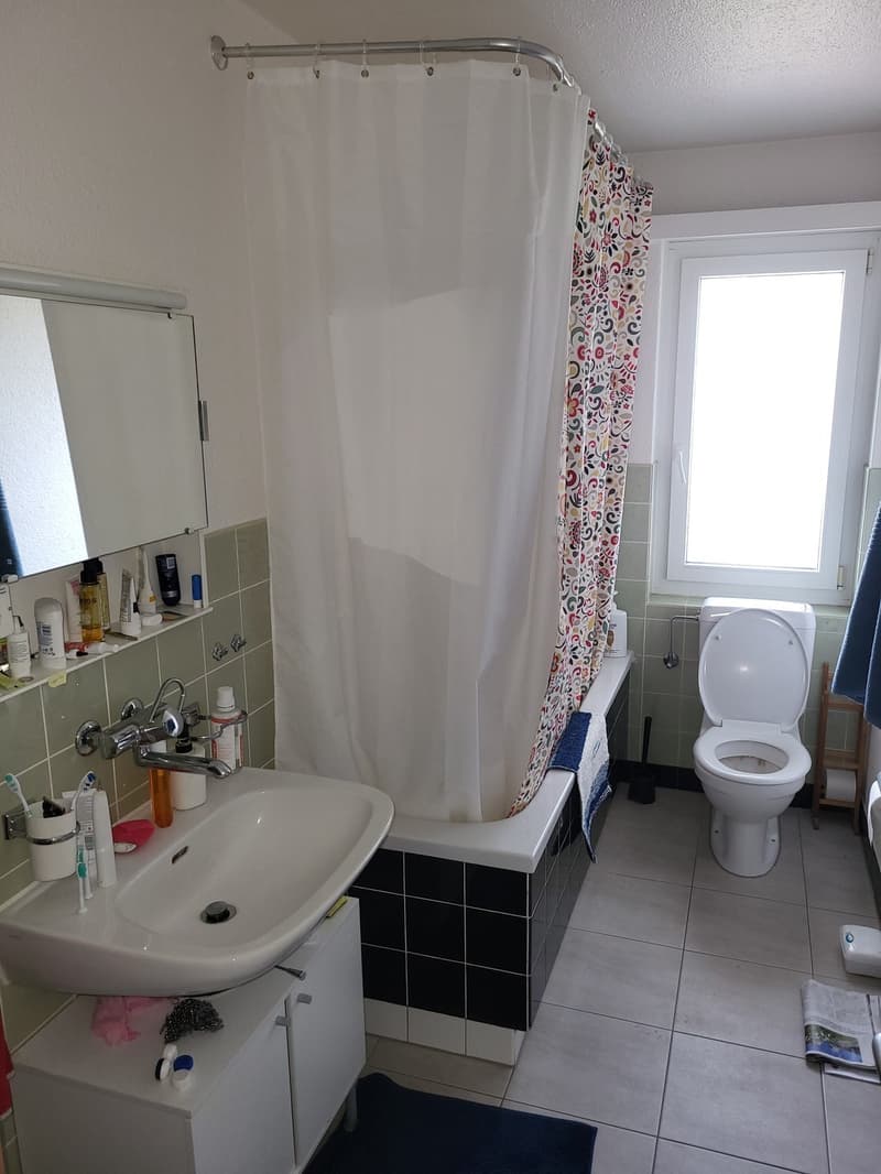4-Room Apartment for two-year sublet in Wallisellen (8)