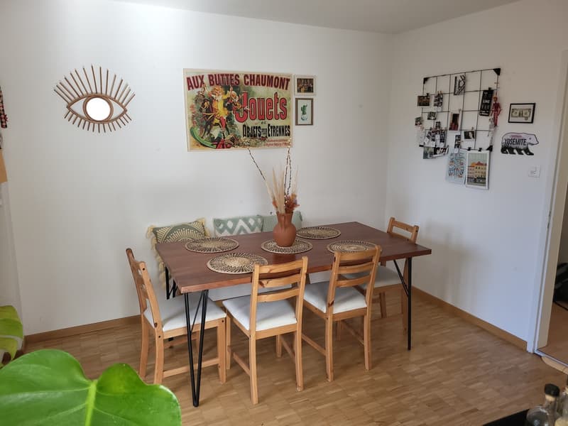 4-Room Apartment for two-year sublet in Wallisellen (4)