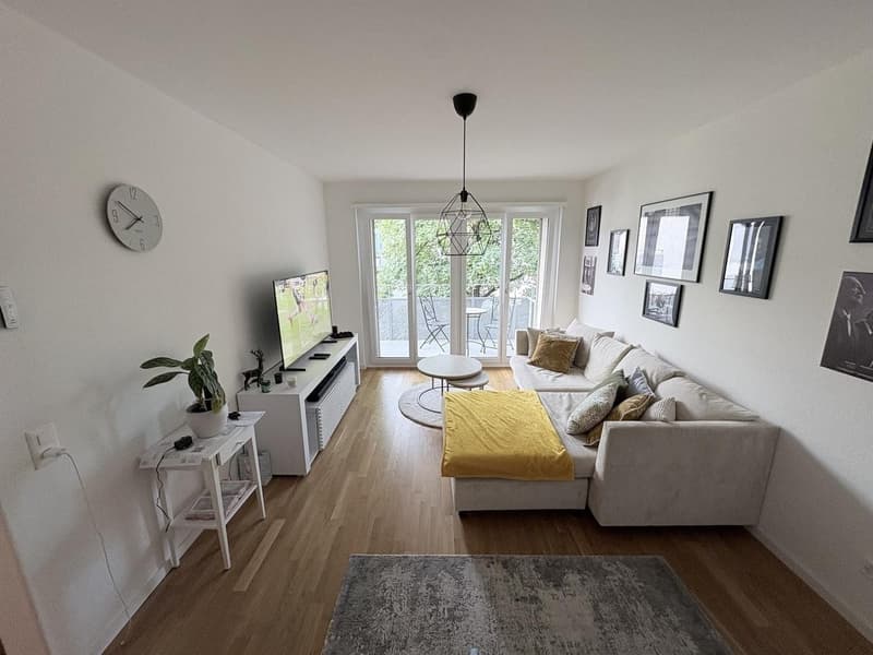 Appartamento elegante, completamente arredato e attrezzato con balcone (3)