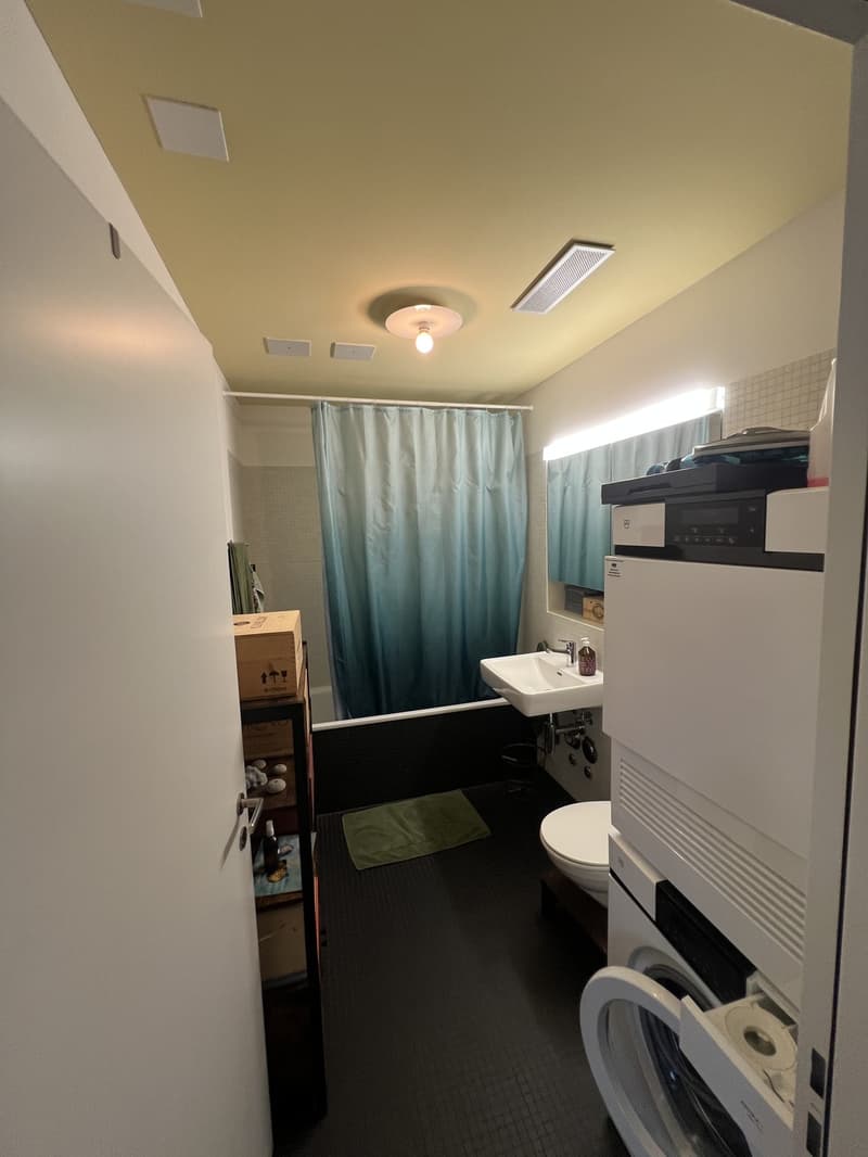 Helle 3.5-Zimmer-Wohnung mit Dachterrasse und hervorragender Anbindung (7)