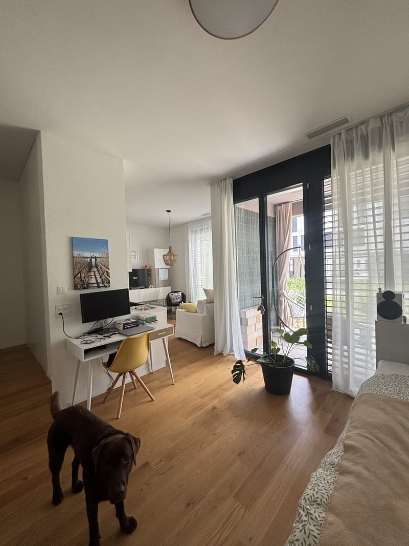 Appartamento moderno nel Glattpark (1)