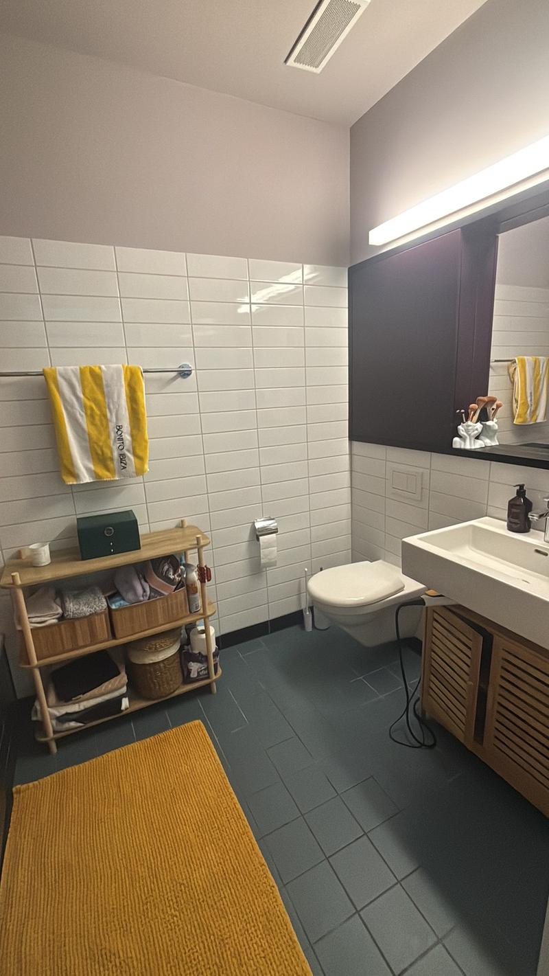 Appartamento moderno nel Glattpark (7)