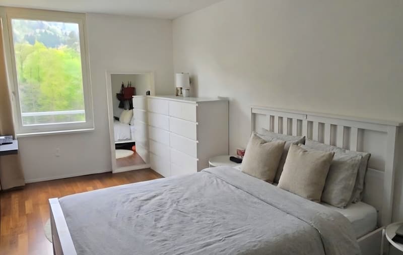 Sonnendurchflutete 3.5-Zimmer-Wohnung mit Minergie-Standard, tierfreundlich (6)