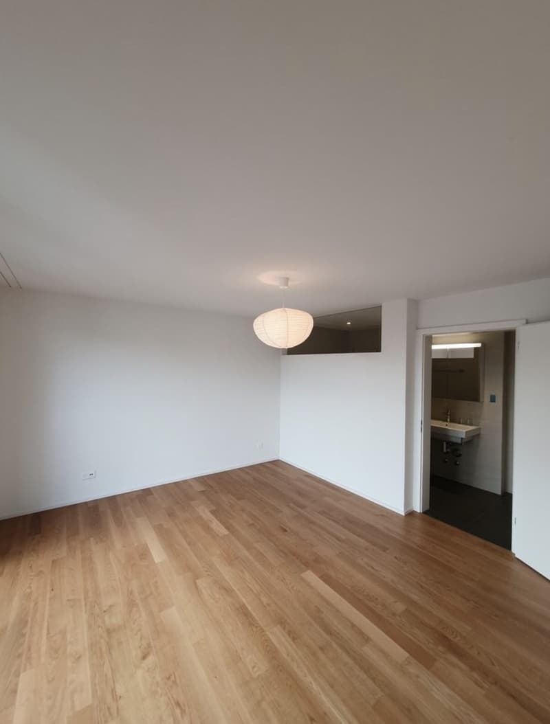 Appartamento 2½ locali (5)