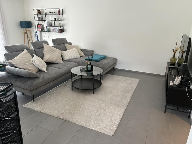 Rural apartment near Zurich - Subtenant wanted (4)