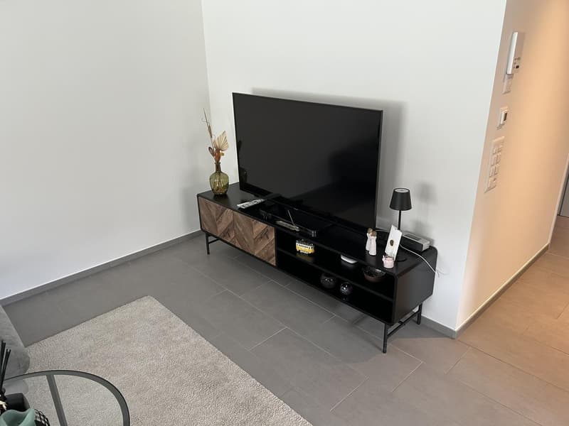 Rural apartment near Zurich - Subtenant wanted (6)