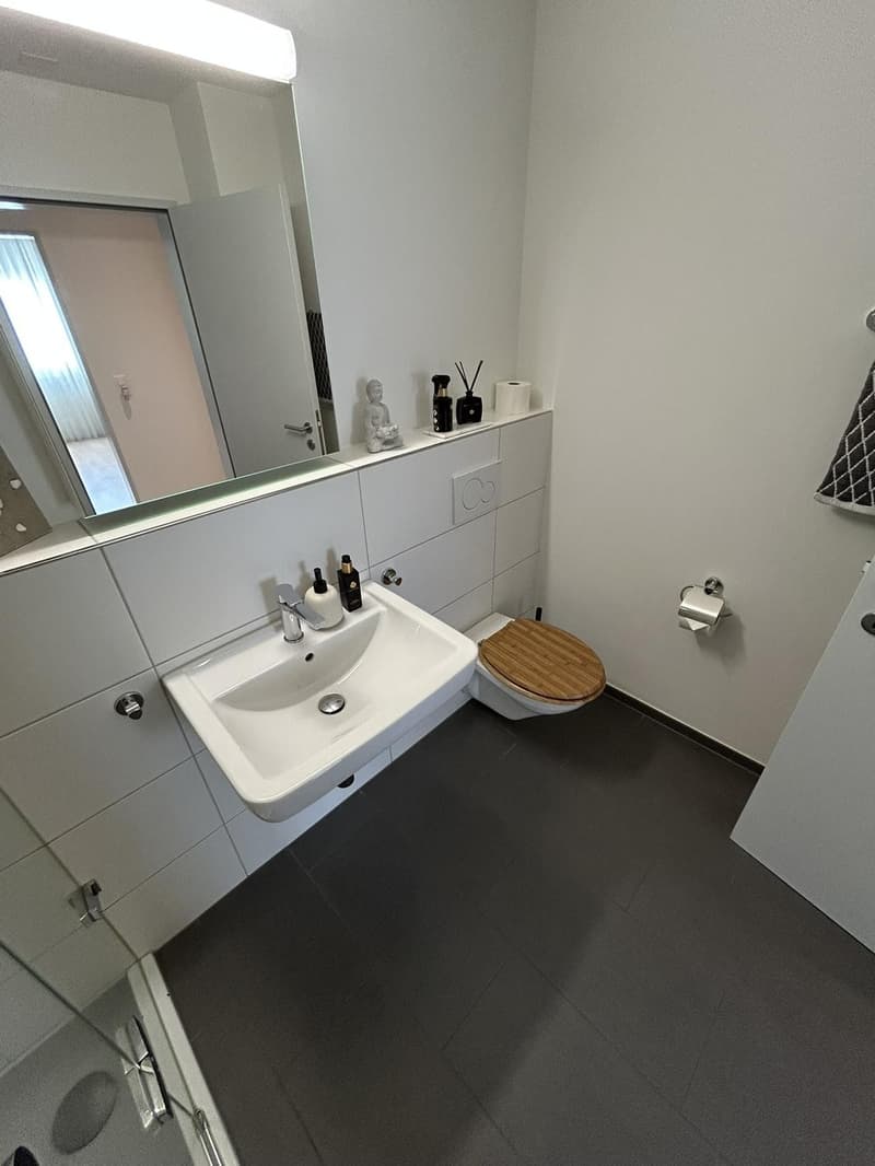 Rural apartment near Zurich - Subtenant wanted (10)