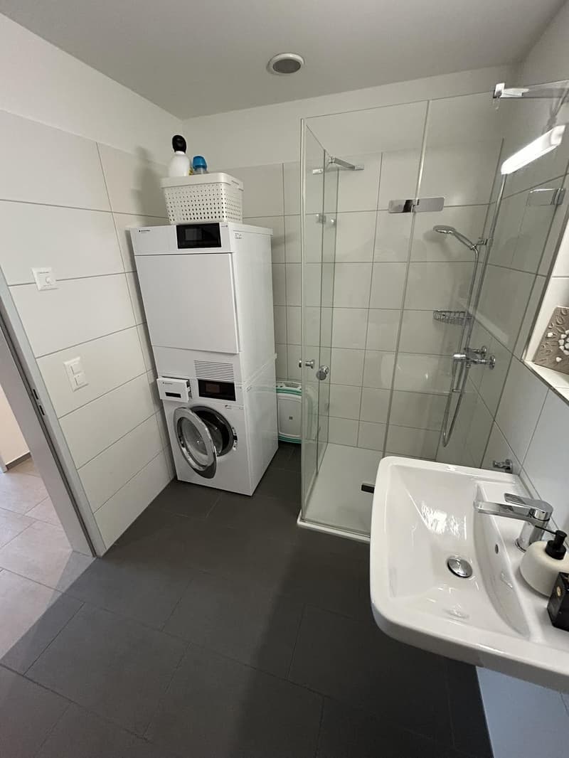 Rural apartment near Zurich - Subtenant wanted (5)