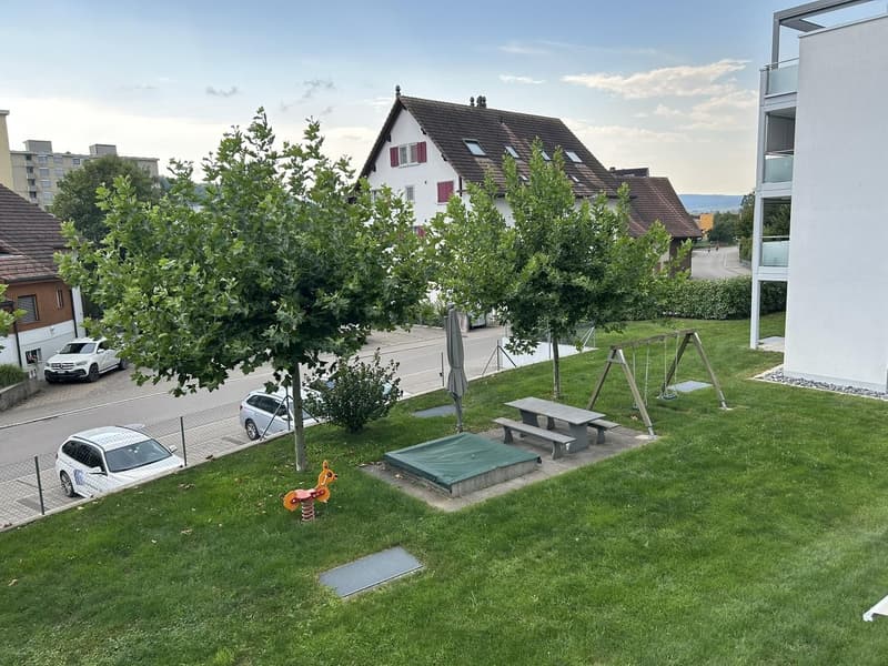 Rural apartment near Zurich - Subtenant wanted (12)