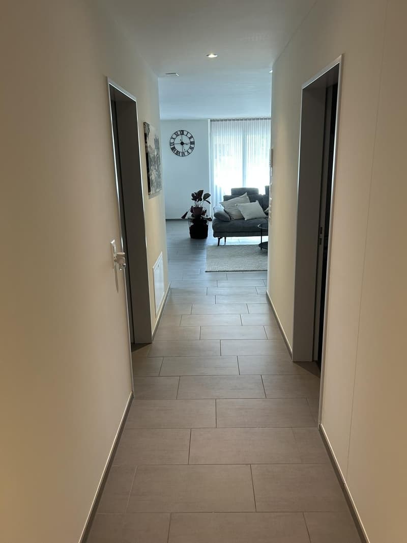 Rural apartment near Zurich - Subtenant wanted (2)