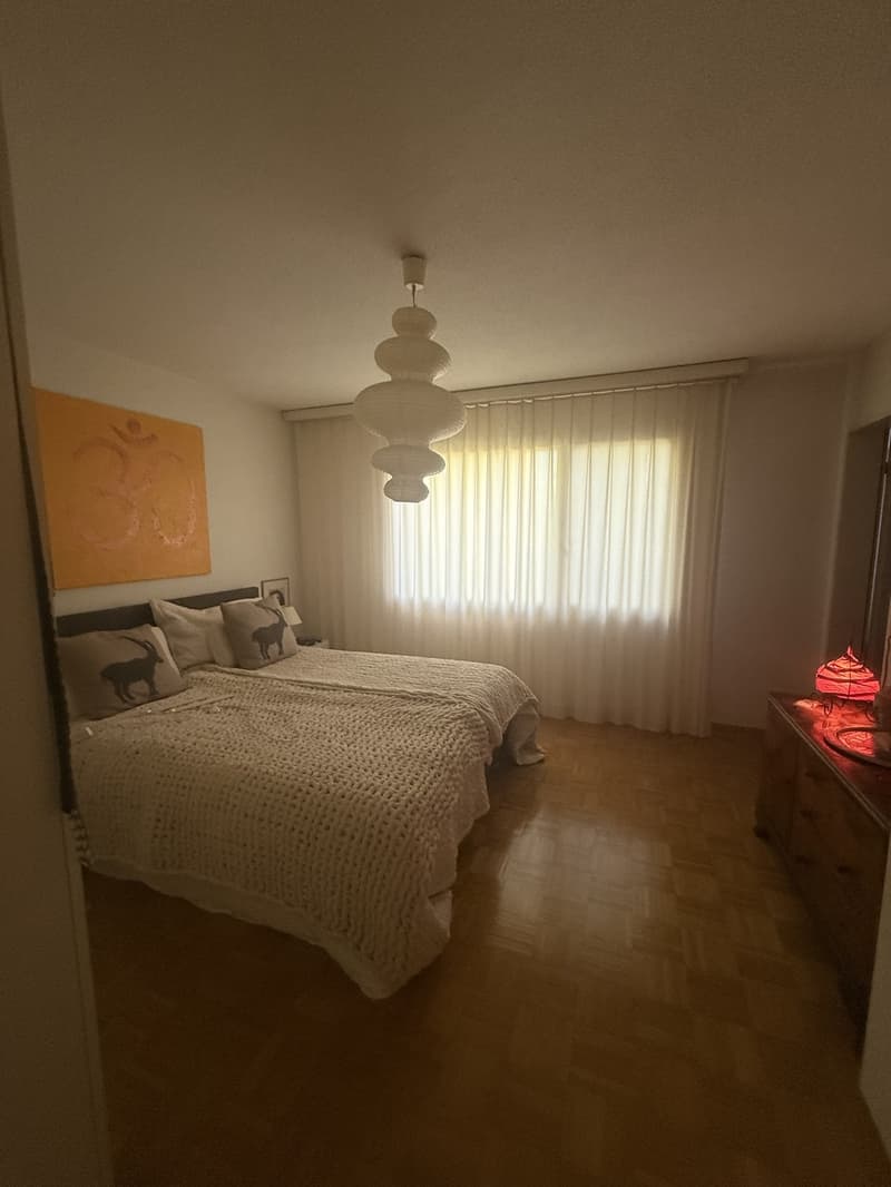 Appartamento luminoso e spazioso di 4,5 locali a Lucerna (4)