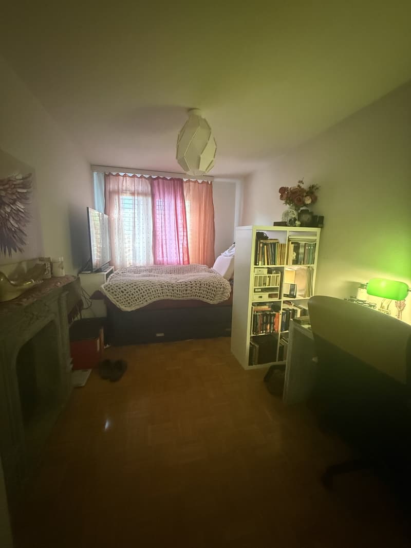 Appartamento luminoso e spazioso di 4,5 locali a Lucerna (6)
