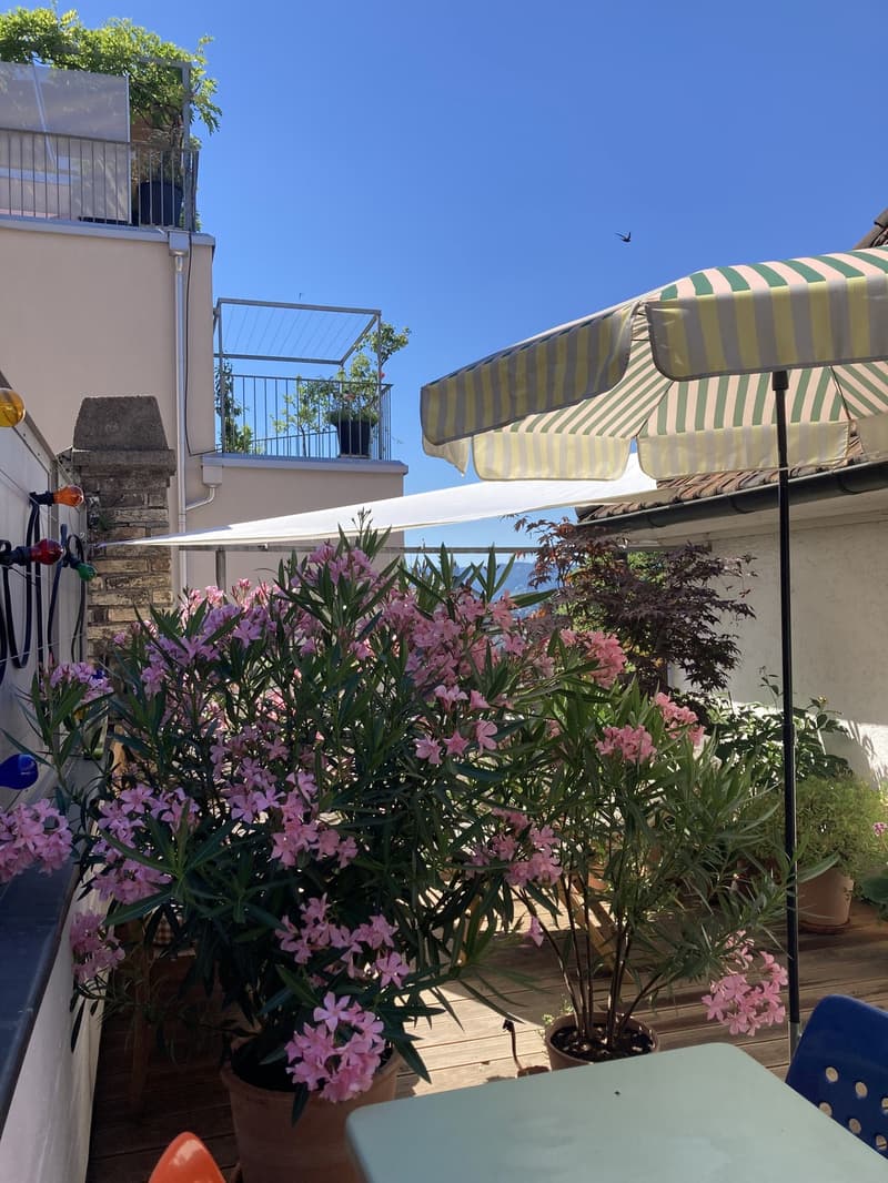Appartement charmant à louer pour le mois de juillet (2)