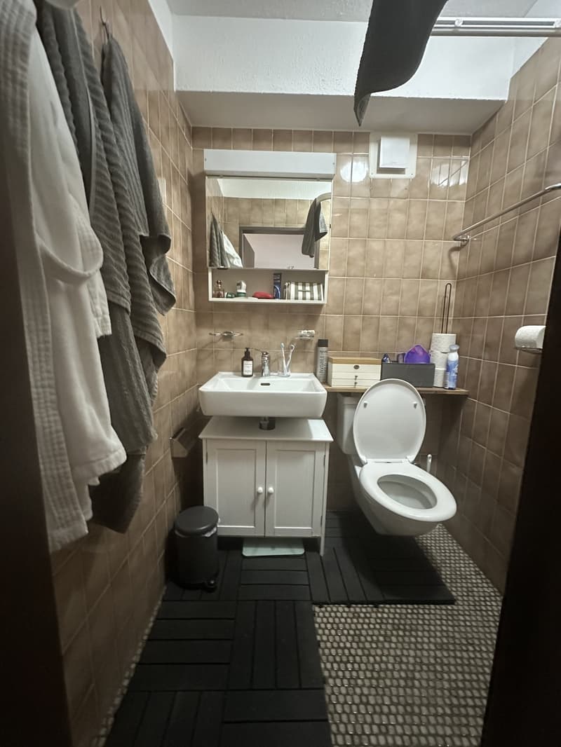 1 Zimmer Wohnung in der Altstadt (3)