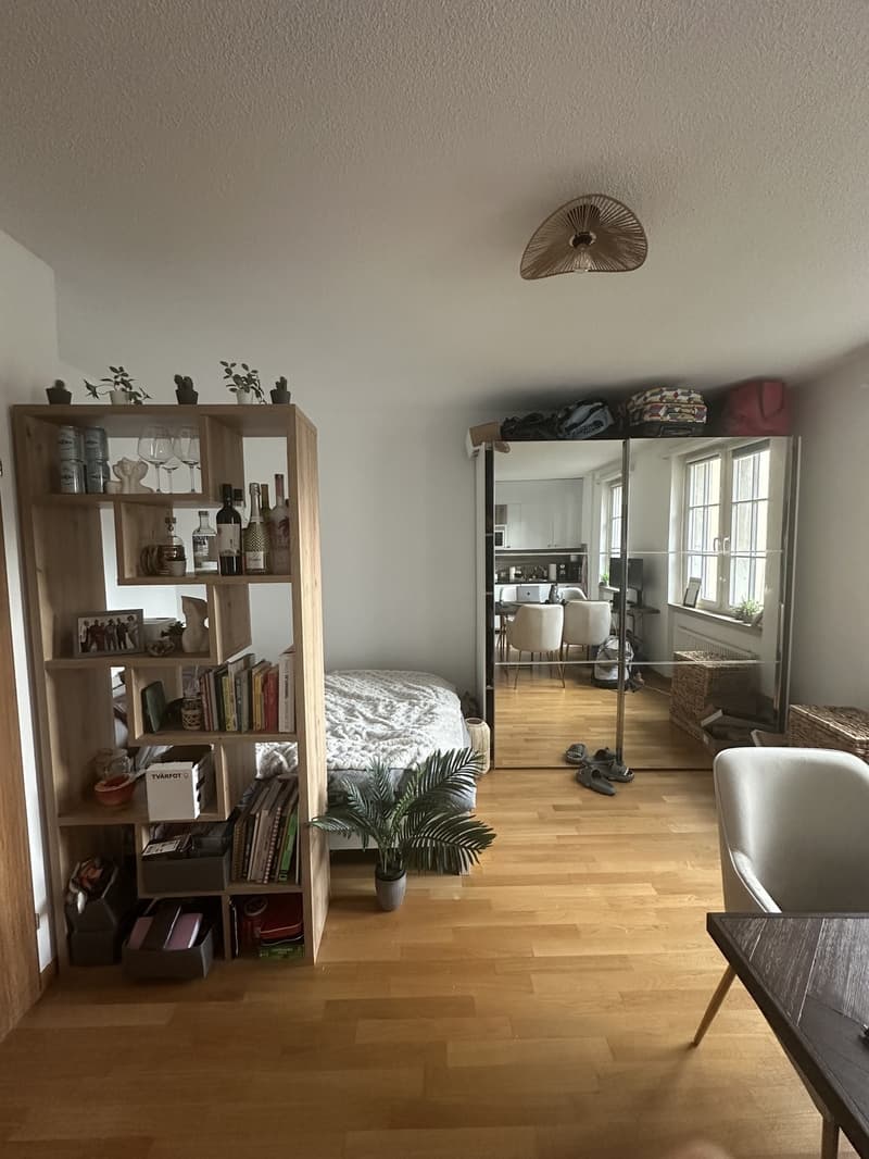 1 Zimmer Wohnung in der Altstadt (1)