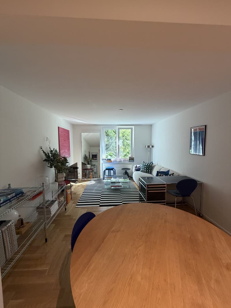 Appartement de 2,5 pièces prêt à emménager à ZH Wiedikon (5)