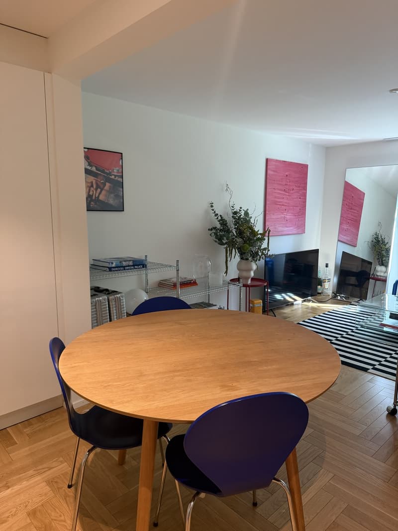 Appartement de 2,5 pièces prêt à emménager à ZH Wiedikon (3)