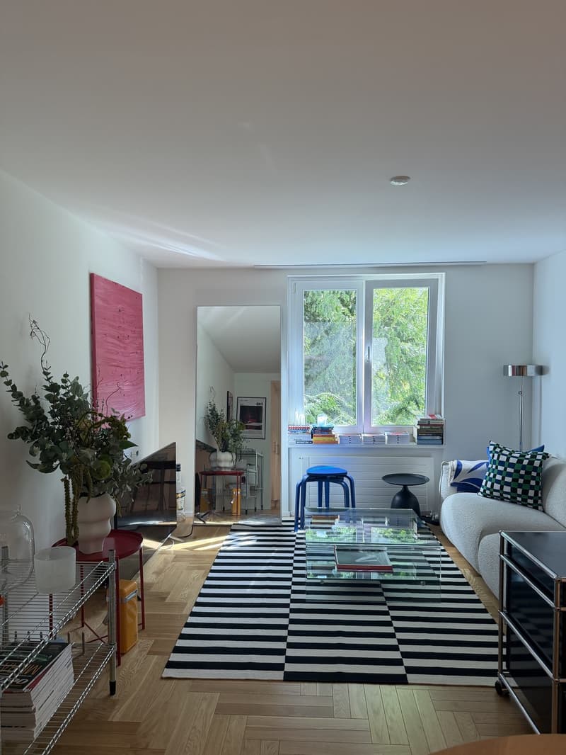 Appartement de 2,5 pièces prêt à emménager à ZH Wiedikon (1)