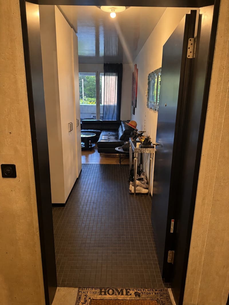 Modern 2.5 room apartment with large balcony and underground parking space in Schlieren (1)