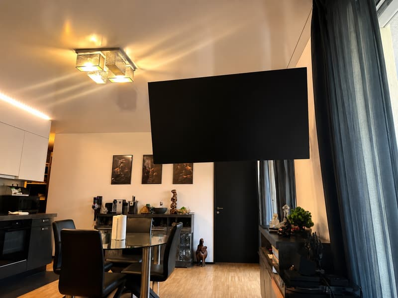 Modern 2.5 room apartment with large balcony and underground parking space in Schlieren (7)