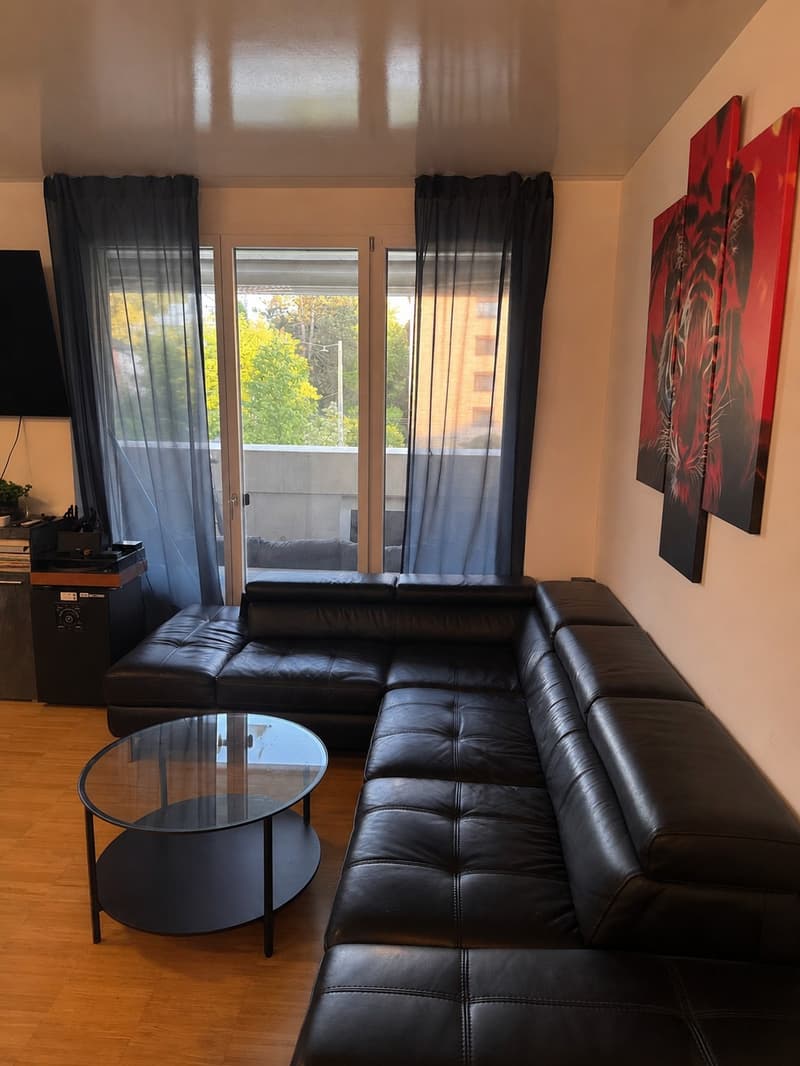 Modern 2.5 room apartment with large balcony and underground parking space in Schlieren (2)