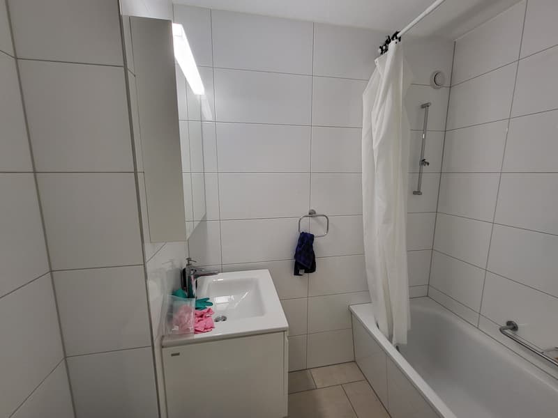 Sonnige 2-Zimmer-Wohnung mit Balkon in Altstetten (4)