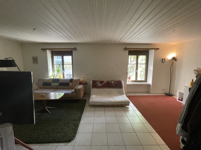 2 ½ rooms apartment, 8005 Zurich (1)