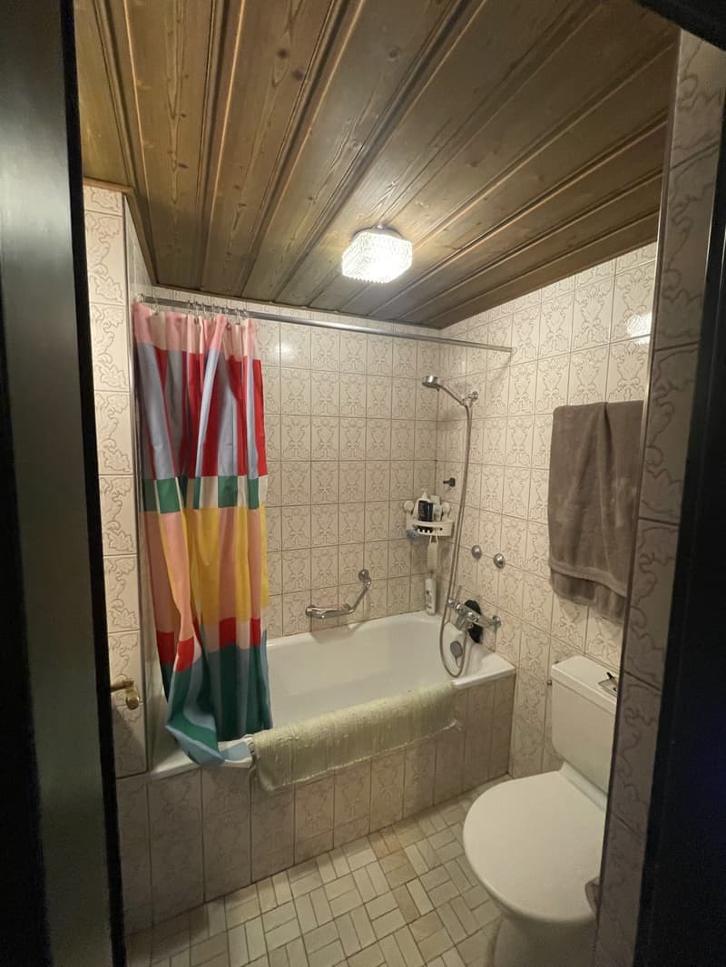 2 ½ rooms apartment, 8005 Zurich (10)
